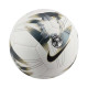 Nike Μπάλα ποδοσφαίρου Premier League Pitch